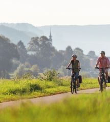 Elberadweg Bad Schandau (c) Felix Meyer